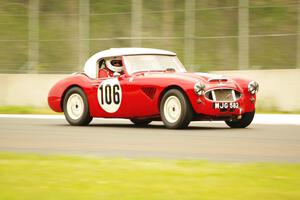 Scott McQueen's Austin-Healey 100-6