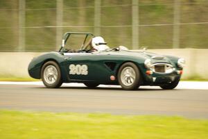 Eileen Wetzel's Austin-Healey 3000