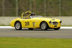 Jeff Johnk's Austin-Healey 3000