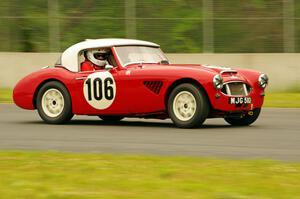 Scott McQueen's Austin-Healey 100-6