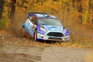 Piotr Fetela / Dominik Jozwiak Ford Fiesta comes through the spectator point on SS9, Arvon-Silver I.