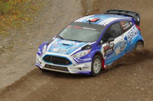 Piotr Fetela / Dominik Jozwiak Ford Fiesta comes through the spectator point on SS9, Arvon-Silver I.