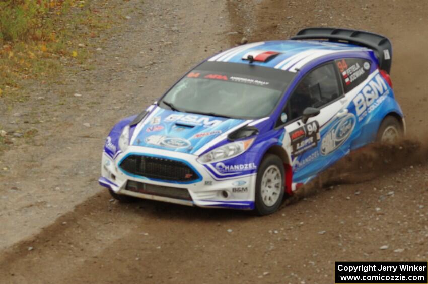 Piotr Fetela / Dominik Jozwiak Ford Fiesta comes through the spectator point on SS9, Arvon-Silver I.