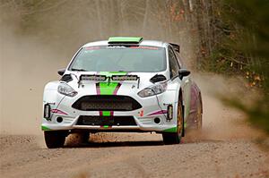 Kyle Tilley / Sarah Freeze Ford Fiesta R5 on SS1.