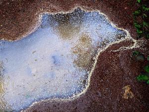 The rains were clearing pollen from the skies and leaving it in the puddles.