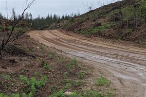 Second view of a nice hairpin to photograph.