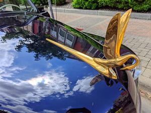 Hood ornament on a Packard Deluxe Eight Touring Sedan.