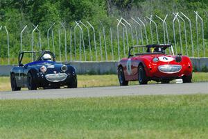 Tom Daly's and Phil Schaefer's Austin-Healey Sprites