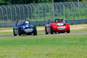 Tom Daly's and Phil Schaefer's Austin-Healey Sprites