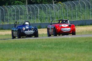 Tom Daly's and Phil Schaefer's Austin-Healey Sprites