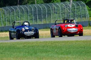 Tom Daly's and Phil Schaefer's Austin-Healey Sprites