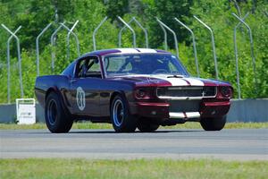 Brian Kennedy's Ford Mustang
