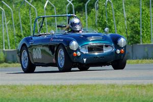 Eileen Wetzel's Austin-Healey 3000