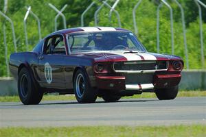 Brian Kennedy's Ford Mustang