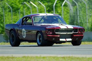 Brian Kennedy's Ford Mustang