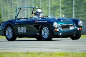 Eileen Wetzel's Austin-Healey 3000