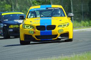 Scott Sinnott's T2 BMW 235iR and Chris Orr's T3 BMW 330Ci