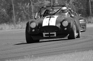 Peter Jankovskis' SPO Ford Cobra Replica