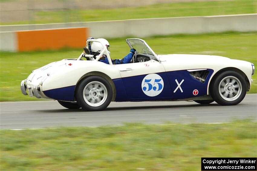 Steve Rixen's Austin Healey 100-6