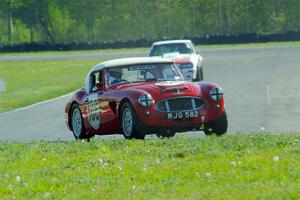 Scott McQueen's Austin-Healey 100-6