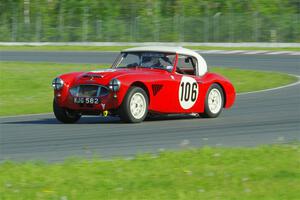 Scott McQueen's Austin-Healey 100-6