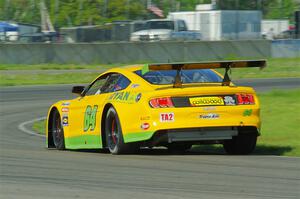 Matt Gray's GT-2 Ford Mustang