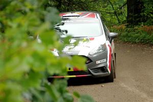 Cameron Steely / Glen Ray Ford Fiesta ST on SS1, Steamboat I.