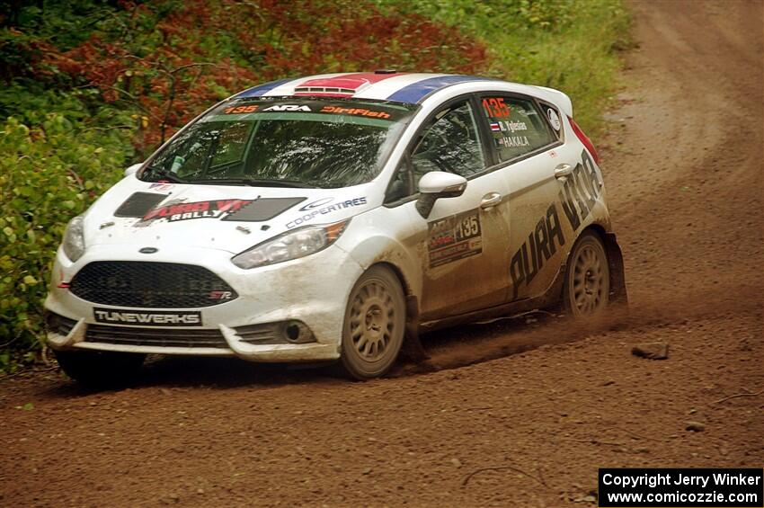 Roberto Yglesias / Alix Hakala Ford Fiesta ST on SS11, Anchor-Mattson.
