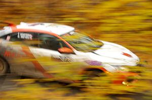 Gabriel Nieves / Thomas Hoster Honda Civic Hatchback Sport on SS14, Trouble II.