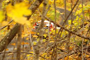 Gabriel Nieves / Thomas Hoster Honda Civic Hatchback Sport on SS14, Trouble II.