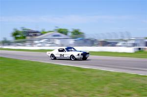 Brian Kennedy's Ford Shelby GT350