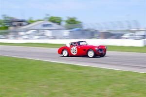 Scott McQueen's Austin-Healey 100-6