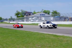Brian Kennedy's Ford Shelby GT350 and John Daniels, Jr.'s Austin-Healey Sprite