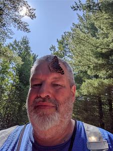 A Compton Tortoiseshell Butterfly lands on the photographer's head.