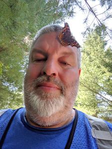 A Compton Tortoiseshell Butterfly lands on the photographer's head.