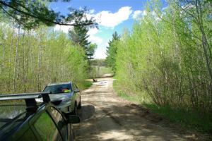 A quick view of the forest in the springtime during the break between stages.