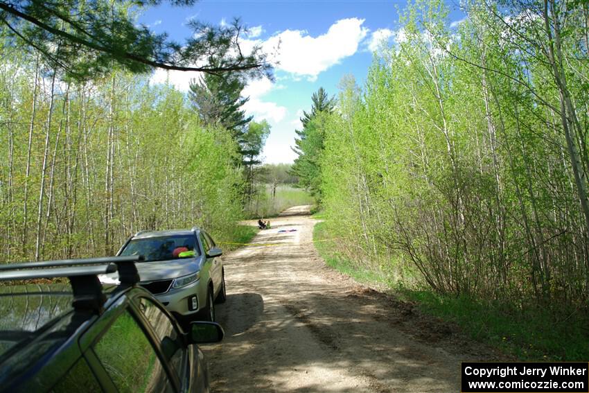 A quick view of the forest in the springtime during the break between stages.