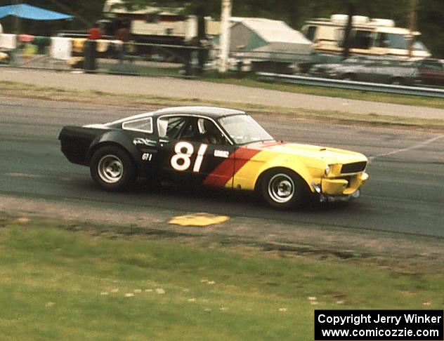 Buck Roetman's Ford Shelby GT-350