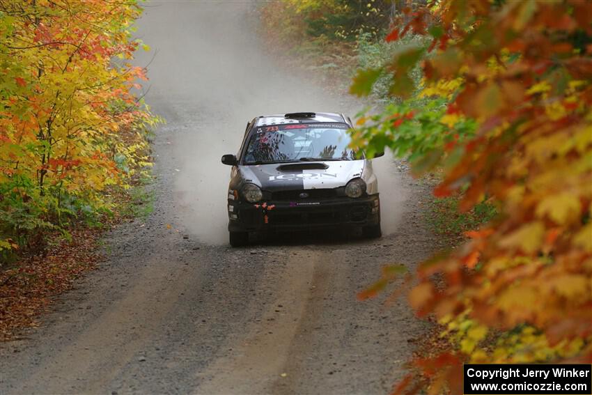 John Farrow / Michael Farrow Subaru WRX on SS15, Double Trouble.
