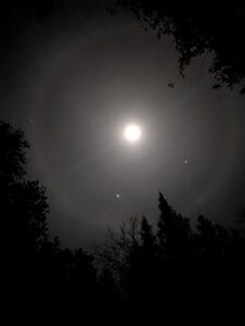 PXL_20250208_022805320.NIGHT