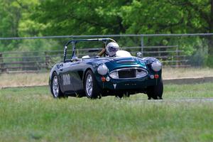 Eileen Wetzel's Austin-Healey 3000