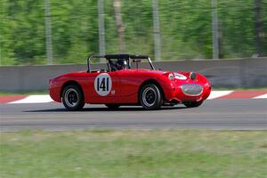 Tom Daly's Austin-Healey Sprite