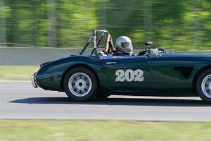 Eileen Wetzel's Austin-Healey 3000