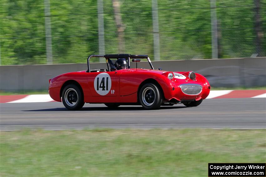 Tom Daly's Austin-Healey Sprite