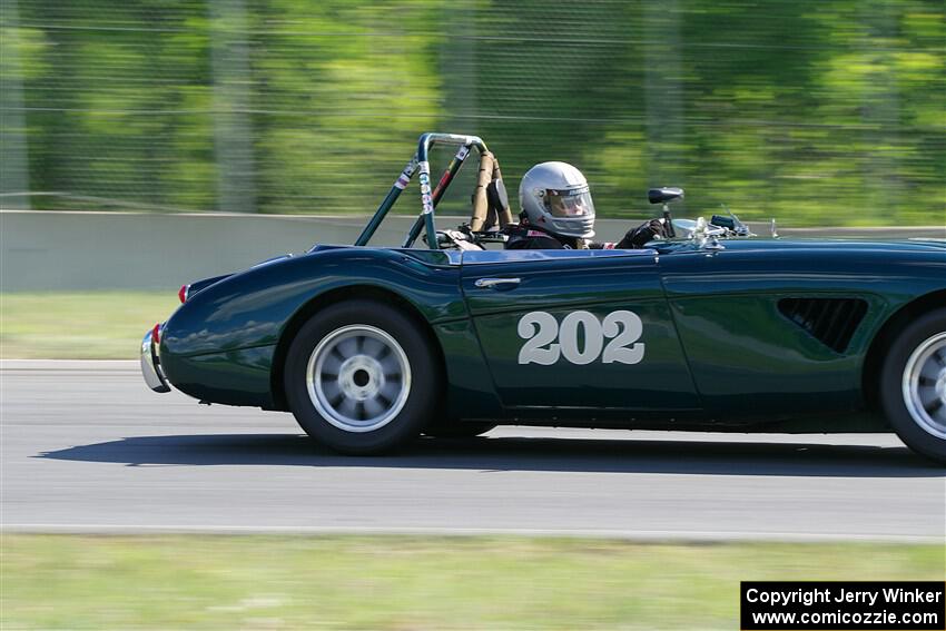 Eileen Wetzel's Austin-Healey 3000