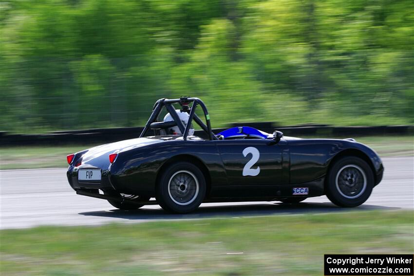 Phil Schaefer's Austin-Healey Sprite