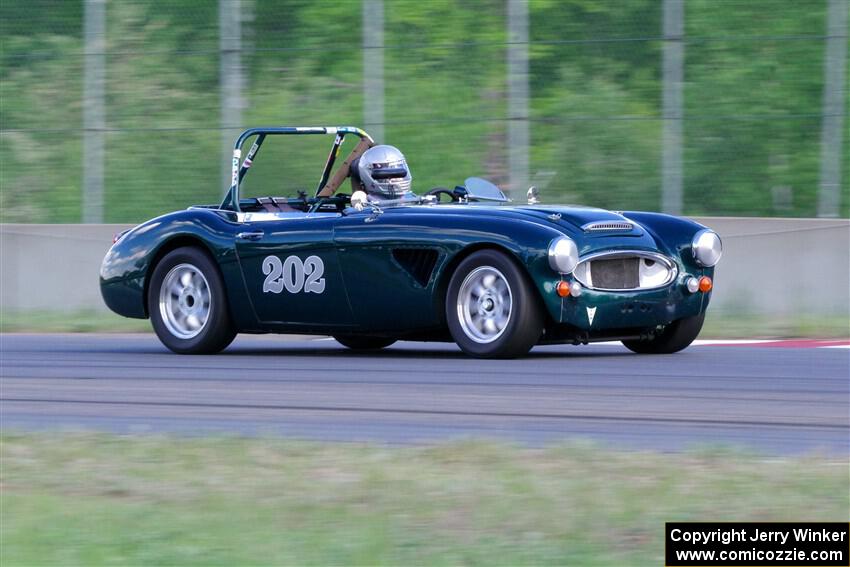 Eileen Wetzel's Austin-Healey 3000
