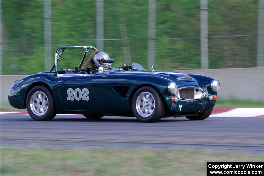 Eileen Wetzel's Austin-Healey 3000