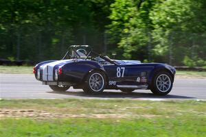 Rob Wilke's SPO Shelby Cobra Replica