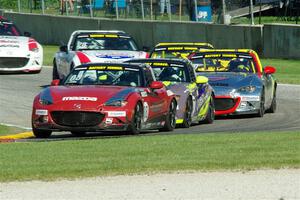 Michael Carter's, Selin Rollan's, Drake Kemper's, Danny Bender's and Robert Stout's Mazda MX-5 Cups